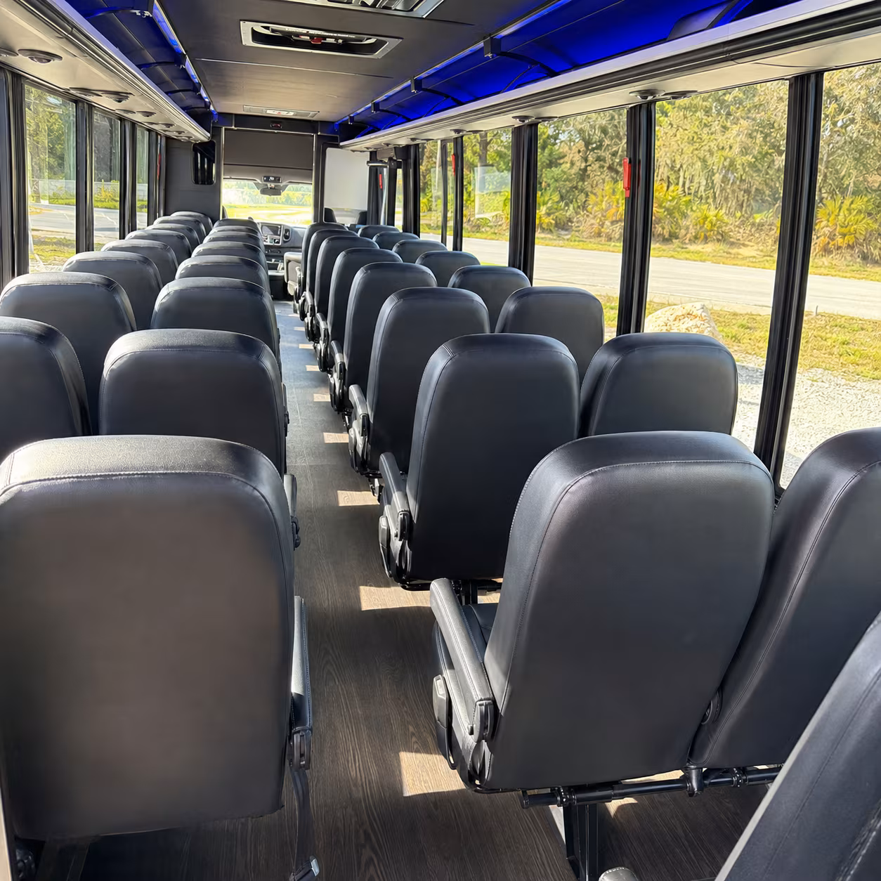 chico concert transportation